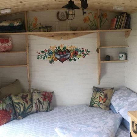 Clydesdale Shepherds Hut Ξενοδοχείο Μπέλφαστ Εξωτερικό φωτογραφία