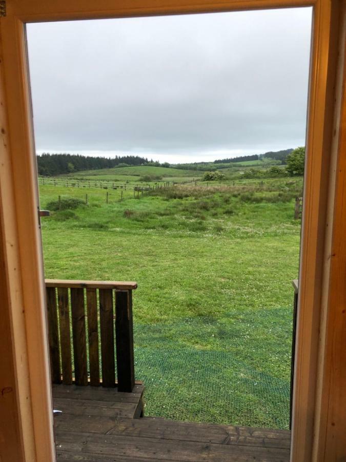 Clydesdale Shepherds Hut Ξενοδοχείο Μπέλφαστ Εξωτερικό φωτογραφία