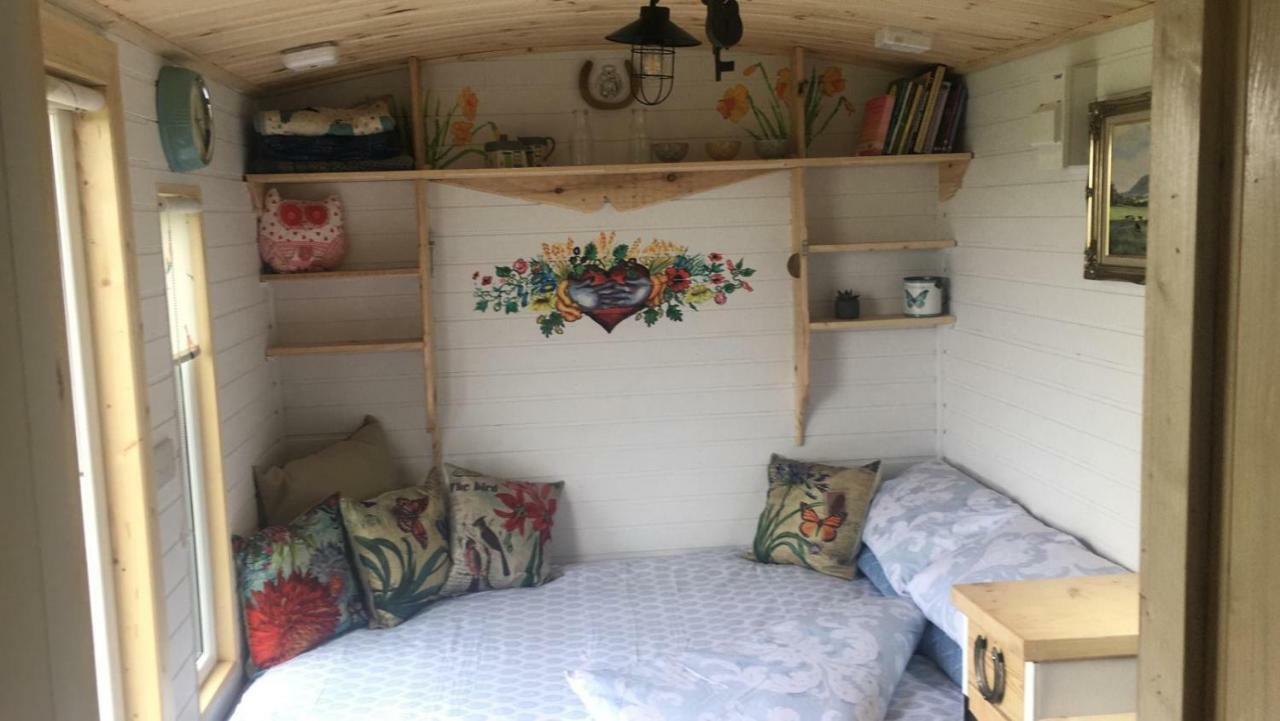 Clydesdale Shepherds Hut Ξενοδοχείο Μπέλφαστ Εξωτερικό φωτογραφία